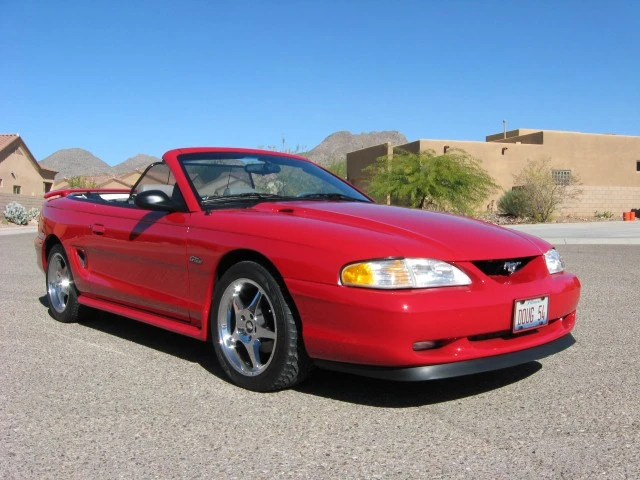 Mustangs 001 (Small).webp