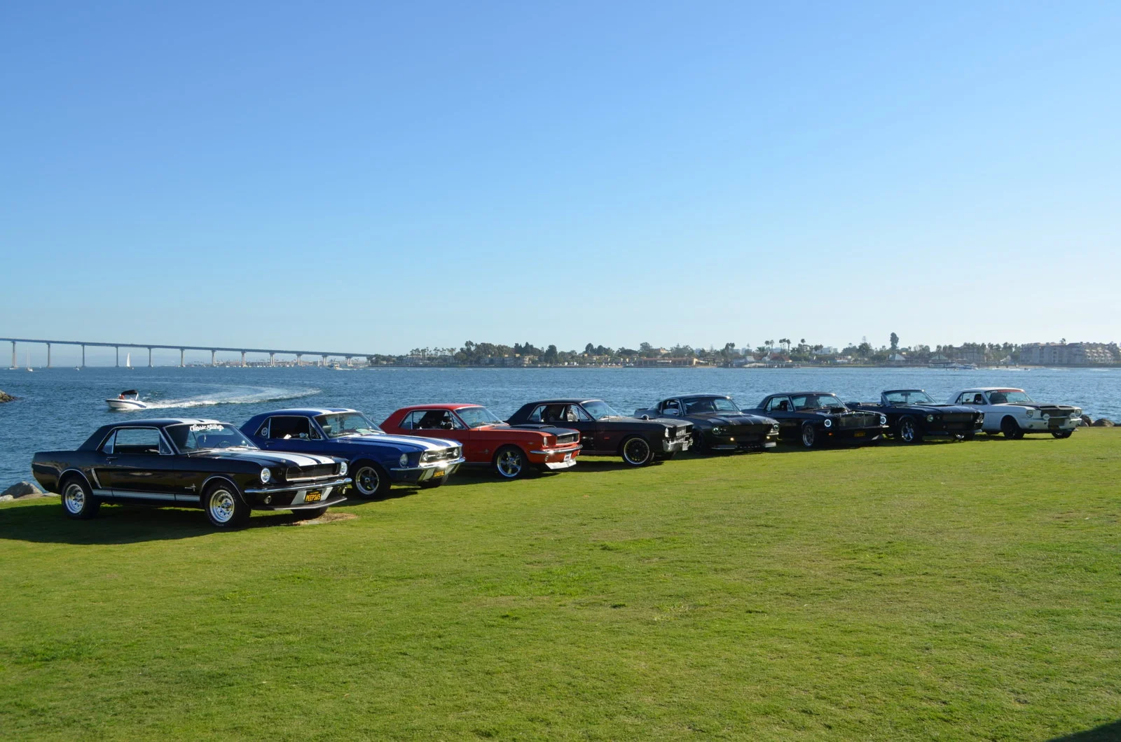 Mustangs by the Bay 2019 1.webp