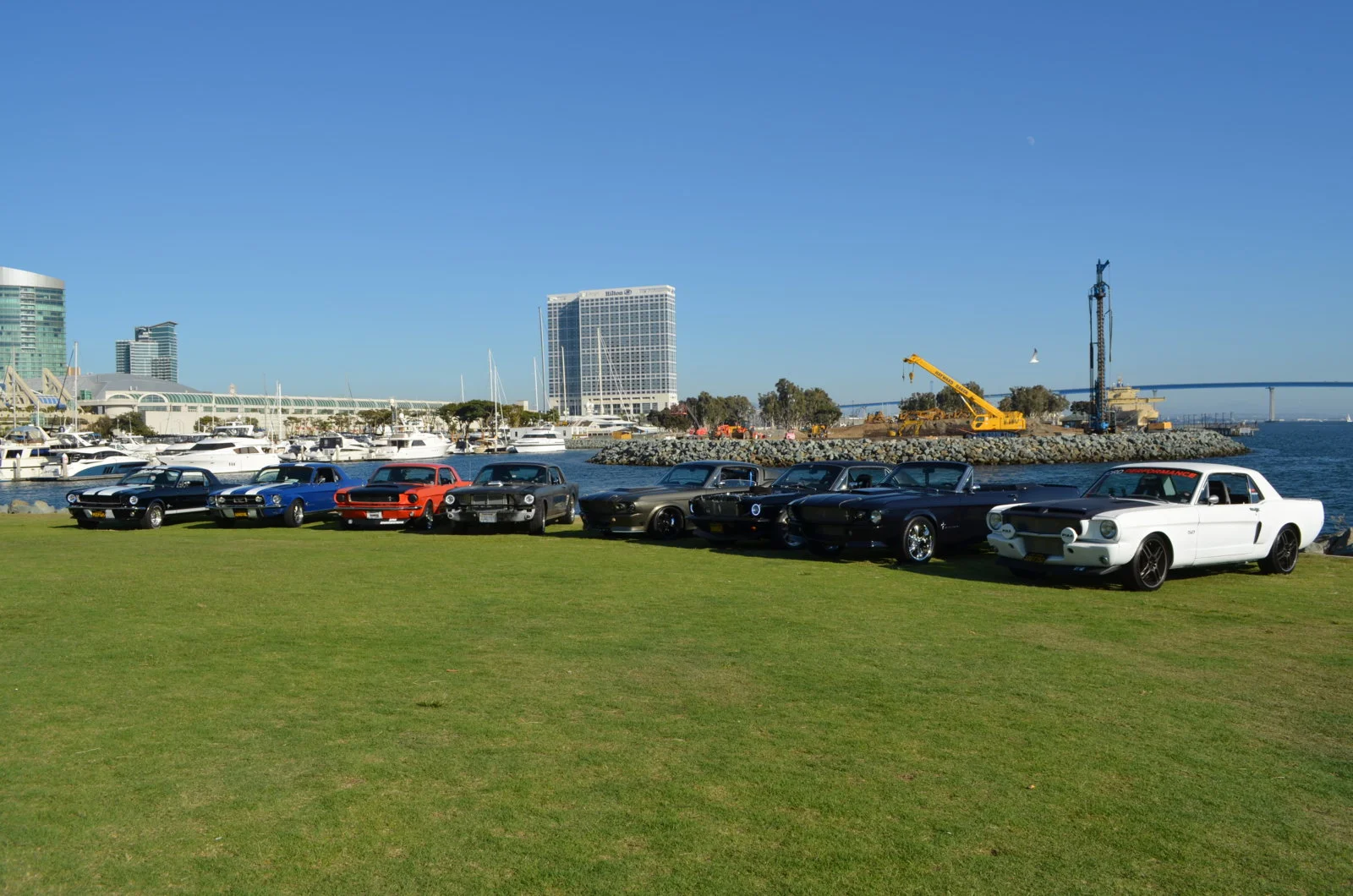 Mustangs by the Bay 2019 2.webp