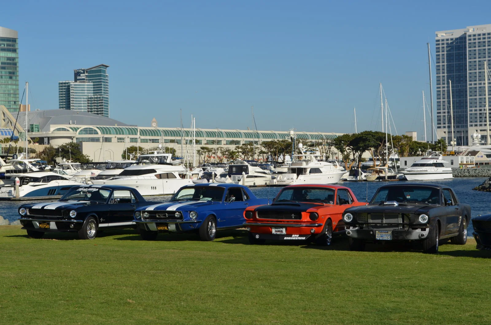 Mustangs by the Bay 2019 3.webp