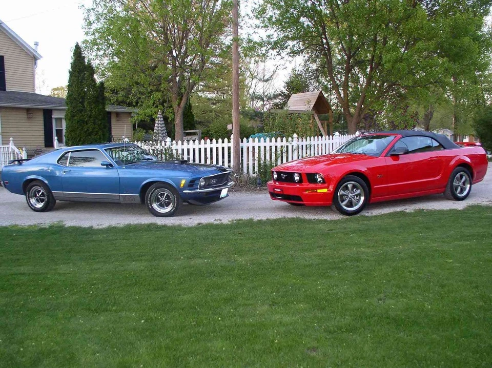 mustangs.webp