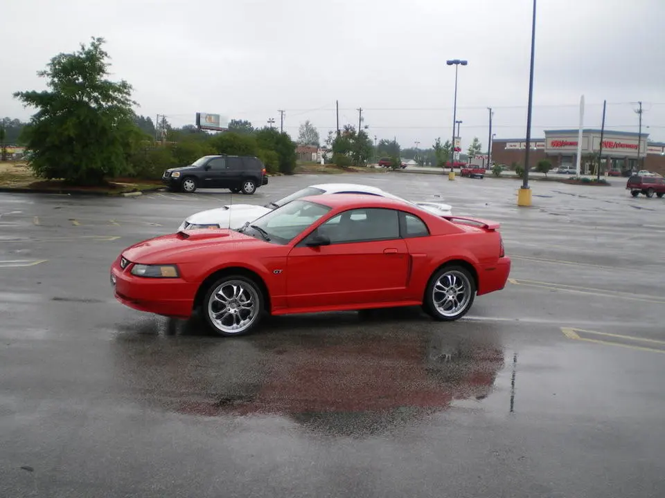 mustangs002.webp