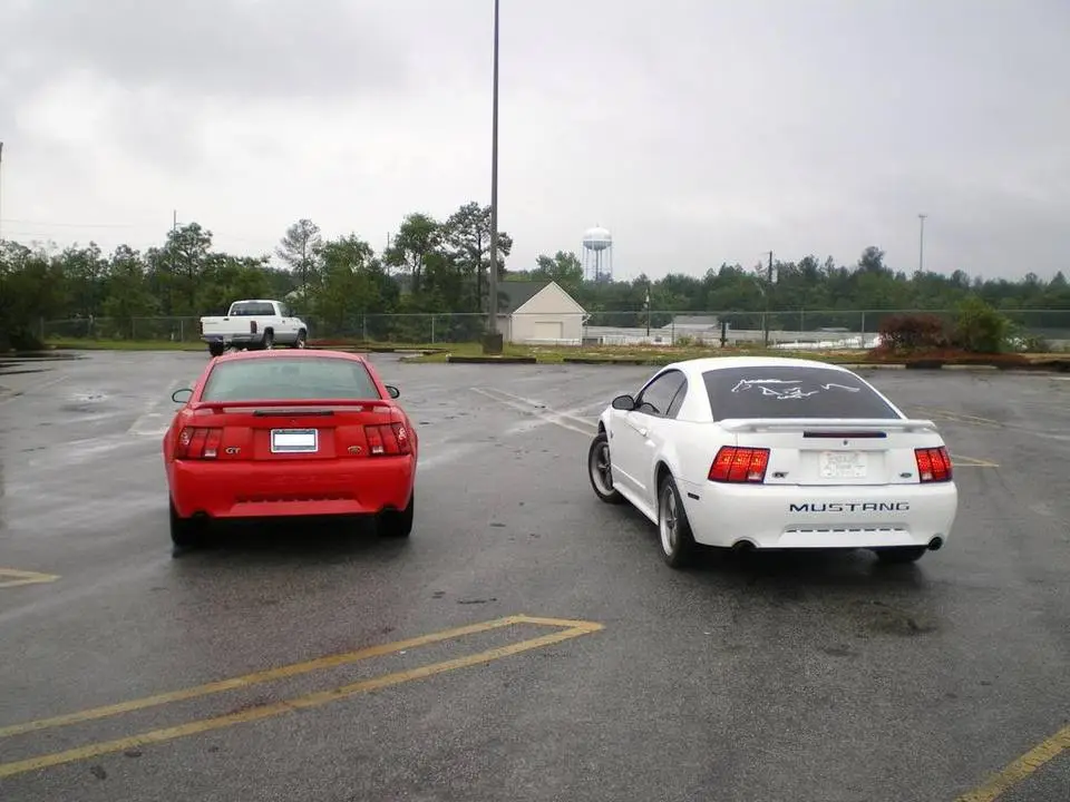 mustangs003.webp