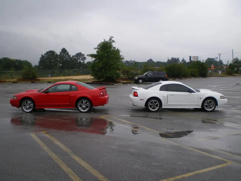 mustangs006.webp