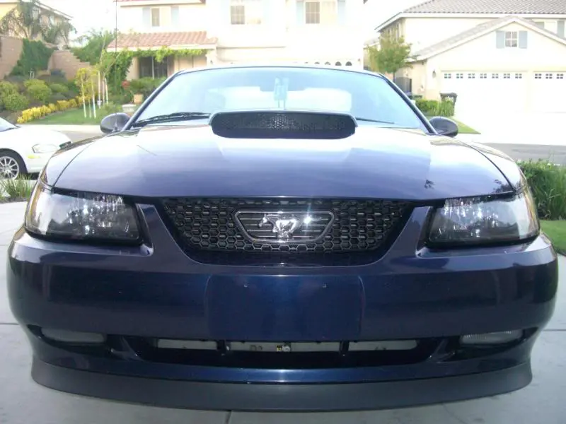 Mustangs009.webp