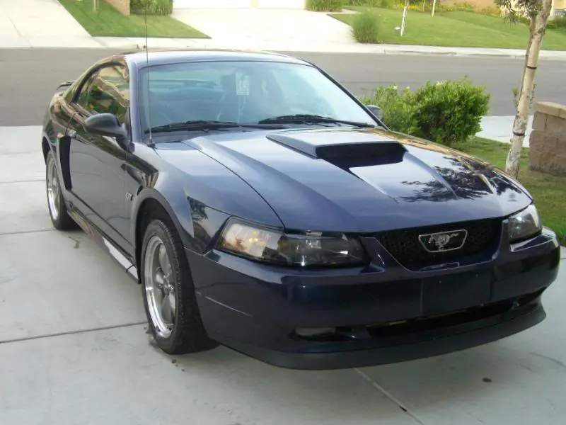 Mustangs010.webp