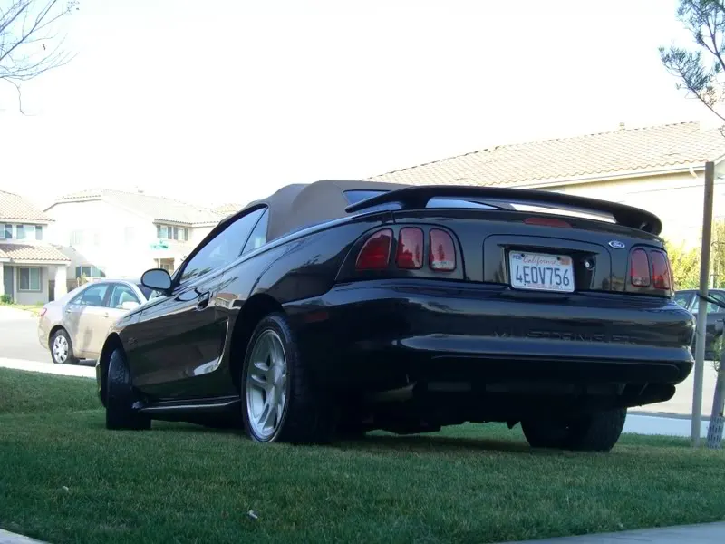 Mustangs012.webp