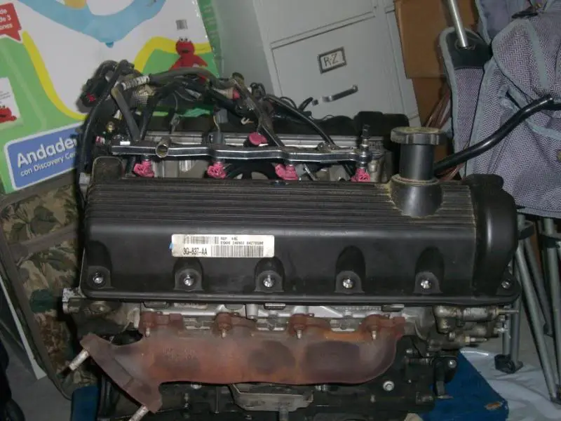 Mustangs012.webp