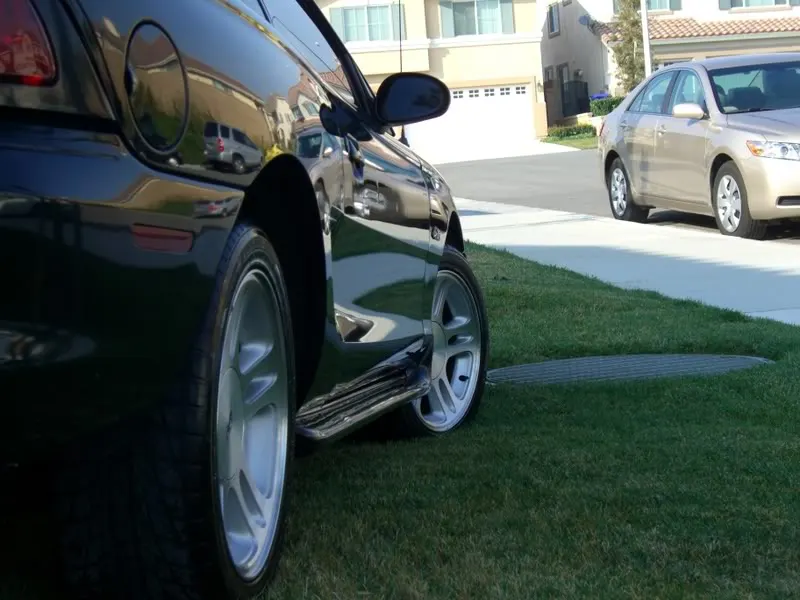 Mustangs014.webp