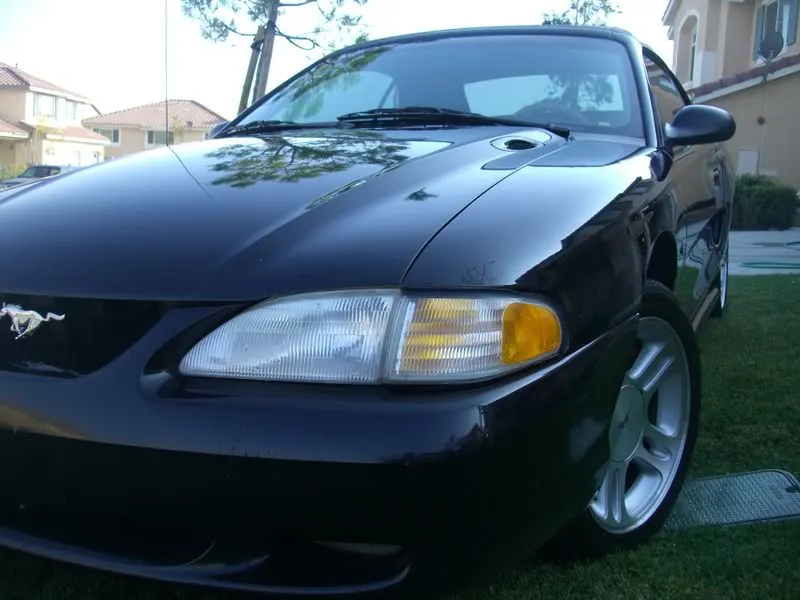 Mustangs018.webp