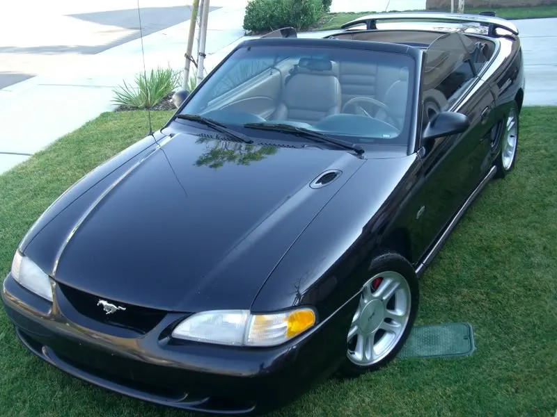 Mustangs019.webp