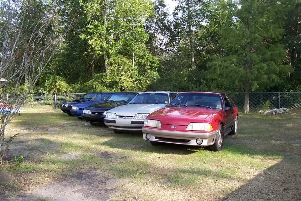 Mustangs026.webp