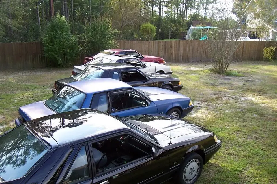Mustangs032.webp