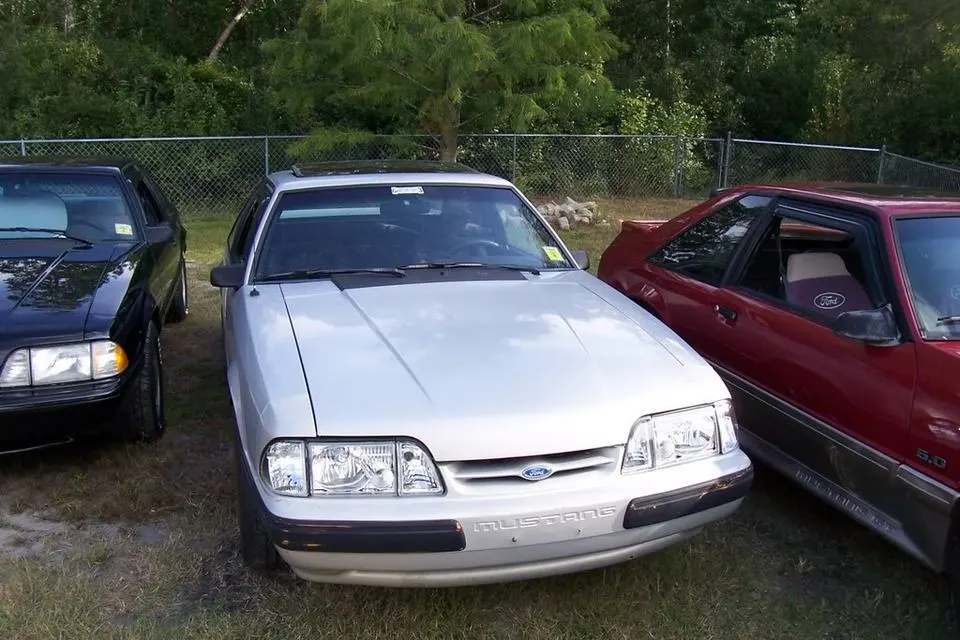 Mustangs034.webp