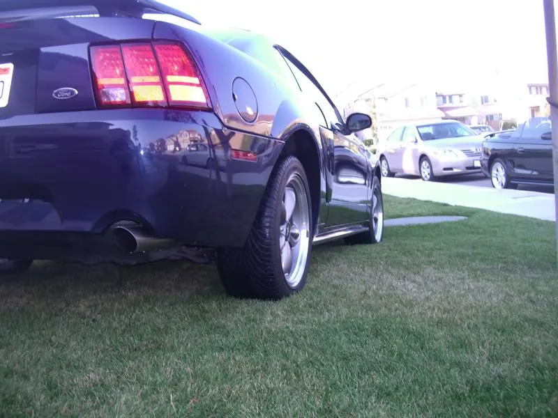 Mustangs034.webp