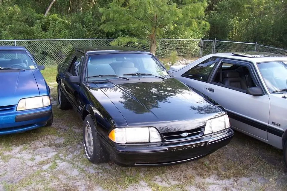 Mustangs035.webp