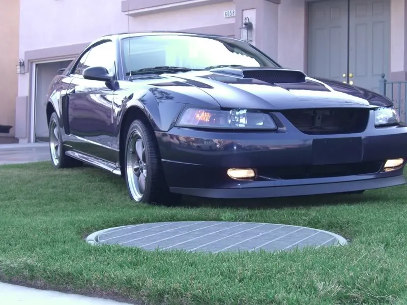 Mustangs035.webp