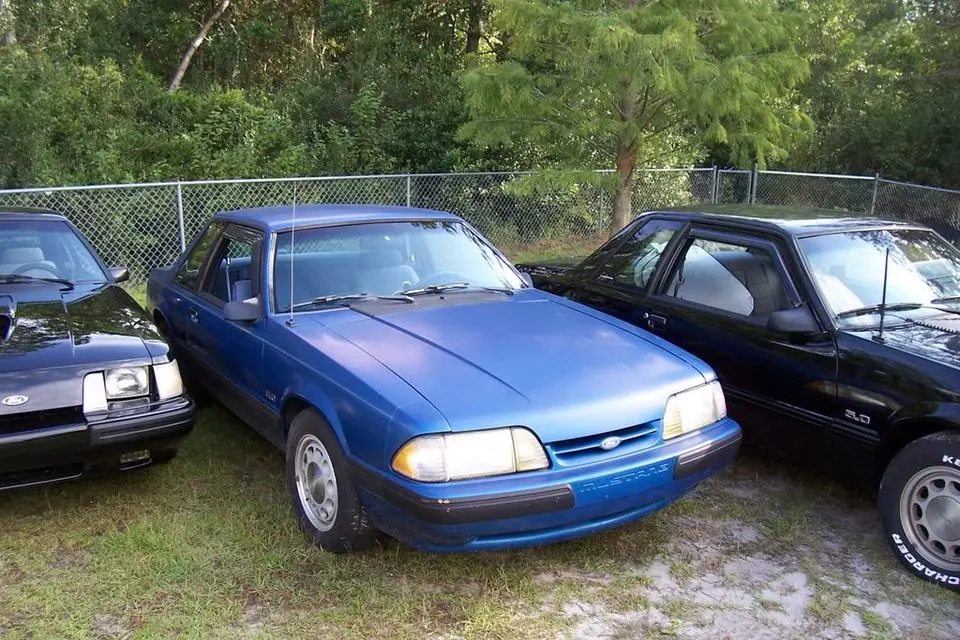 Mustangs036.webp