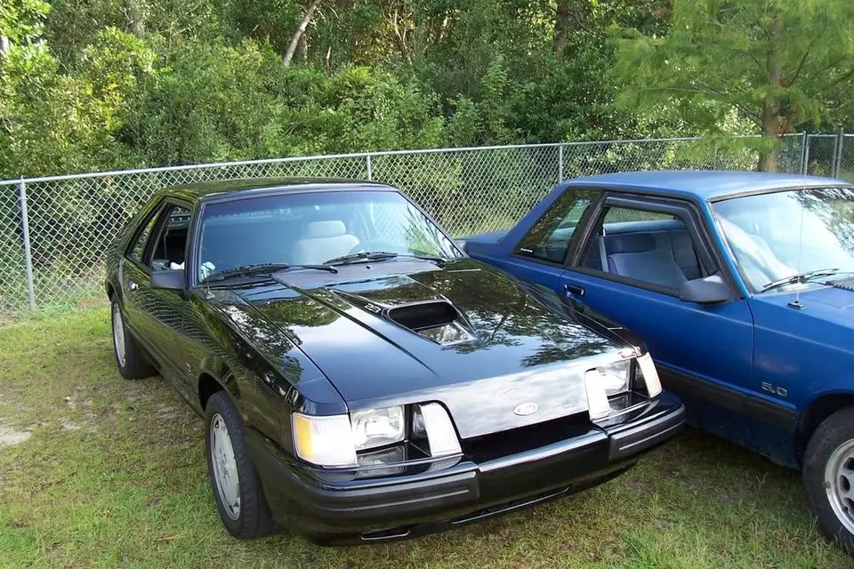 Mustangs037.webp