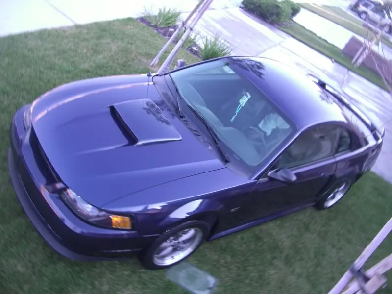 Mustangs038.webp