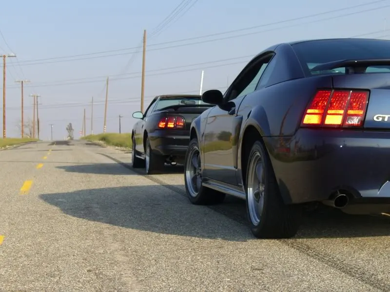 Mustangs045.webp