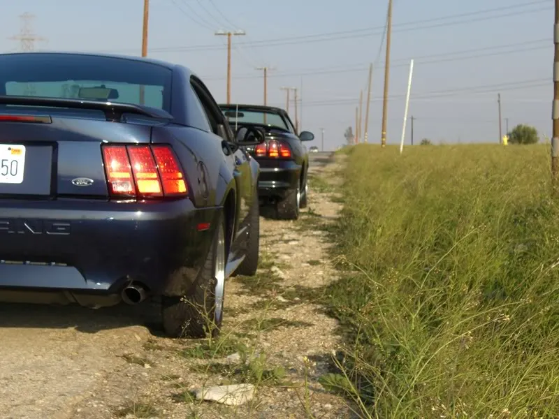 Mustangs046.webp
