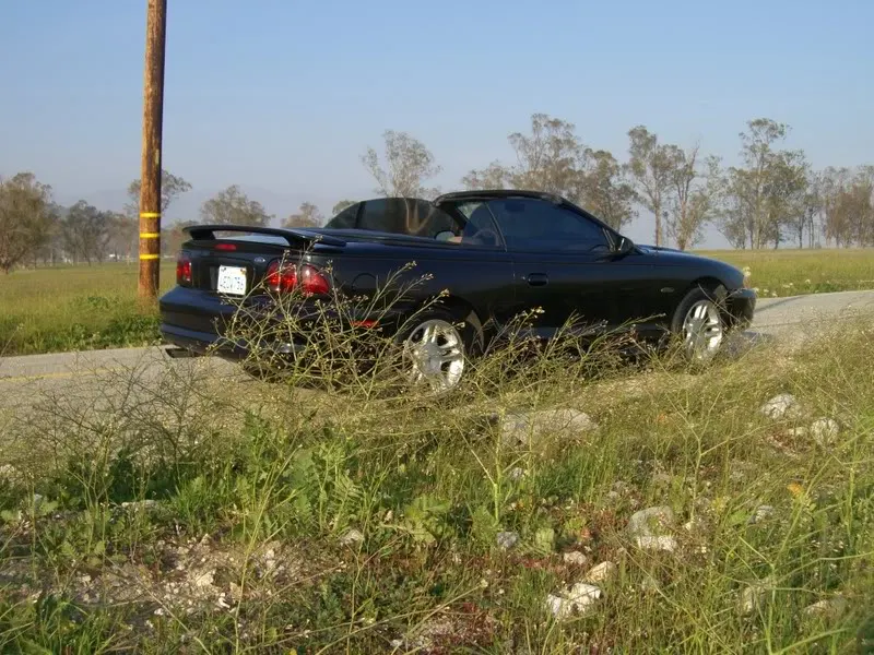Mustangs048.webp