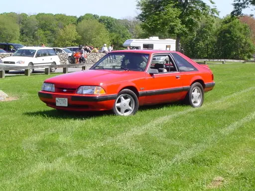 mustangs086.webp
