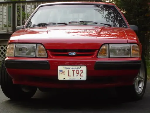 mustangs119.webp