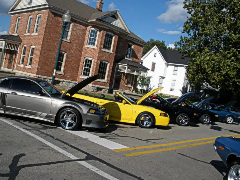 Mustangs2010Morris.webp
