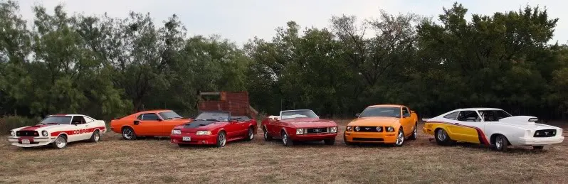 Mustangs8best.webp