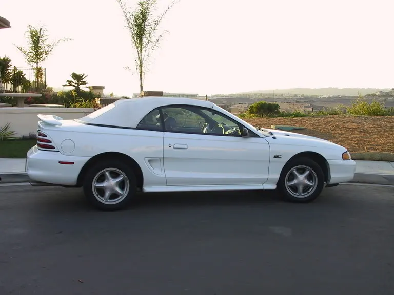 mustangsalepictures001.webp