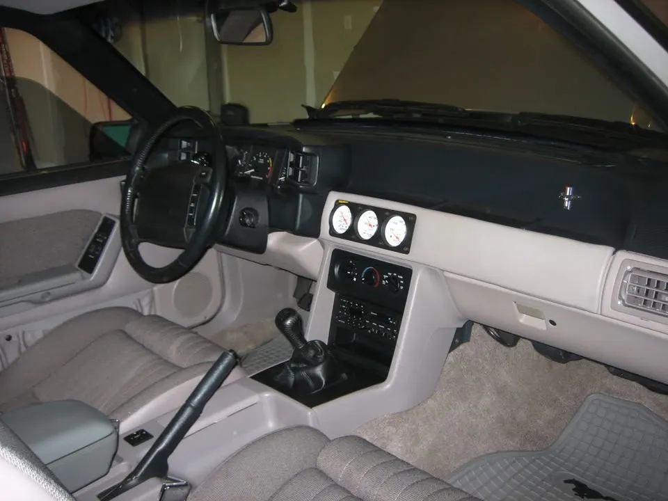 MustangsBITE014.webp