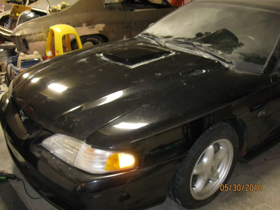 mustangshaker005.webp
