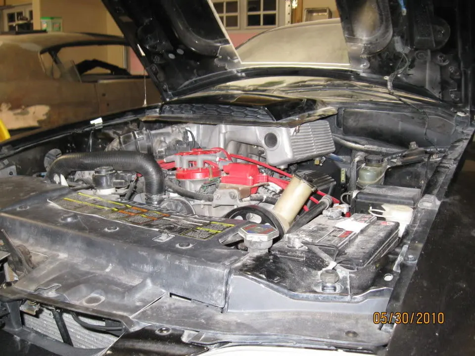 mustangshaker007.webp