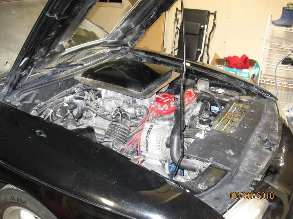 mustangshaker008.webp