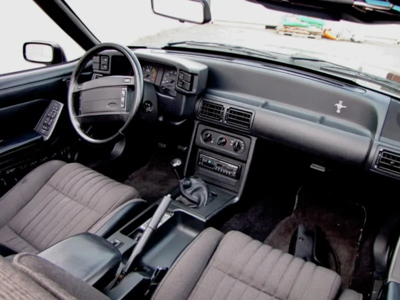 mustangsho43.webp