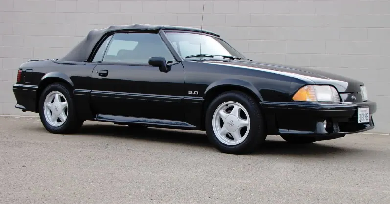 mustangshot2.webp