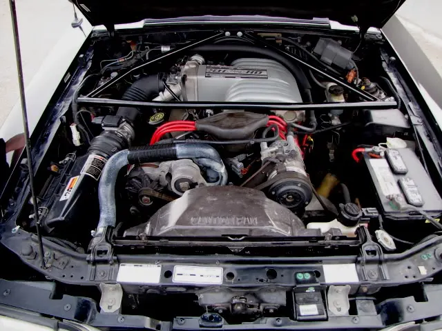 mustangshot6.webp