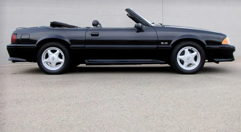 mustangshot7.webp