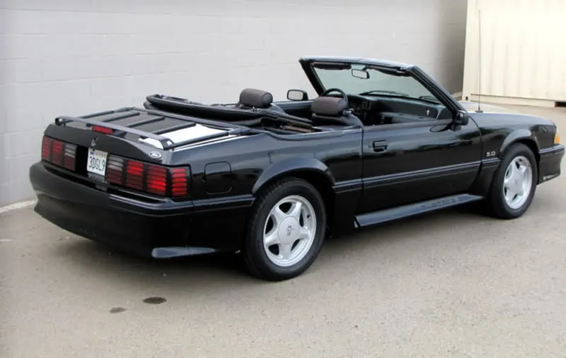 mustangshot8.webp