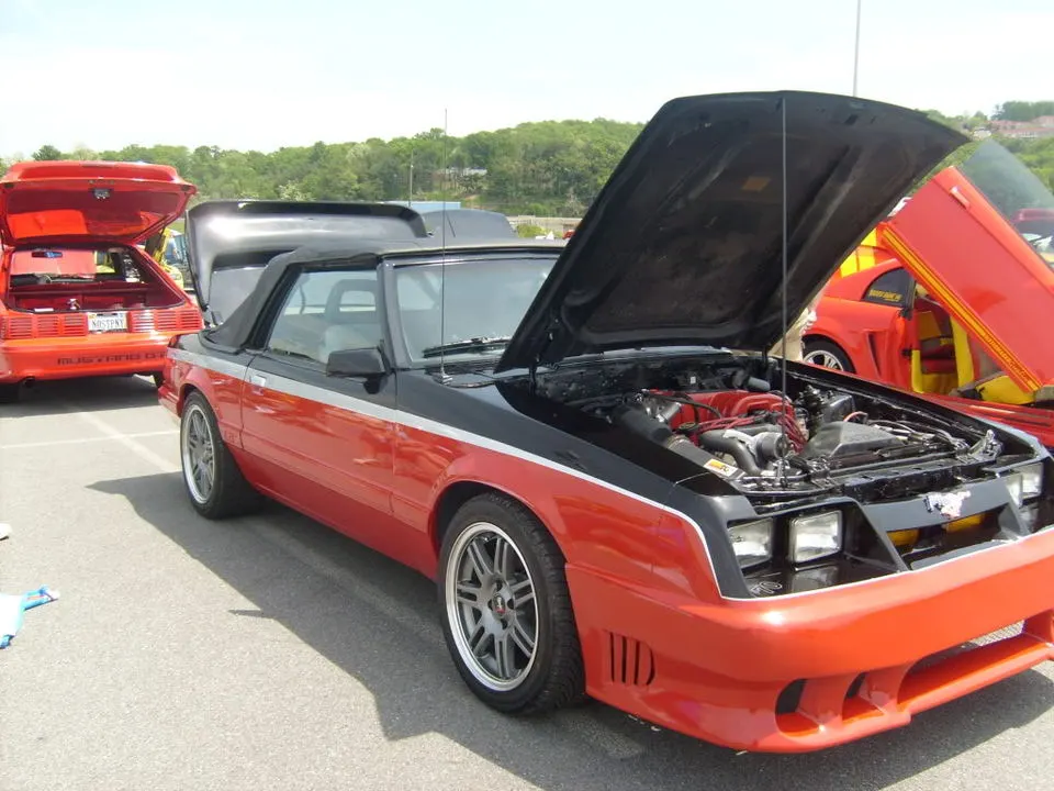 mustangshow2010001.webp