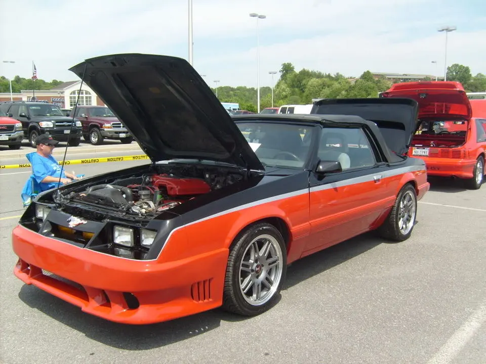 mustangshow2010003.webp