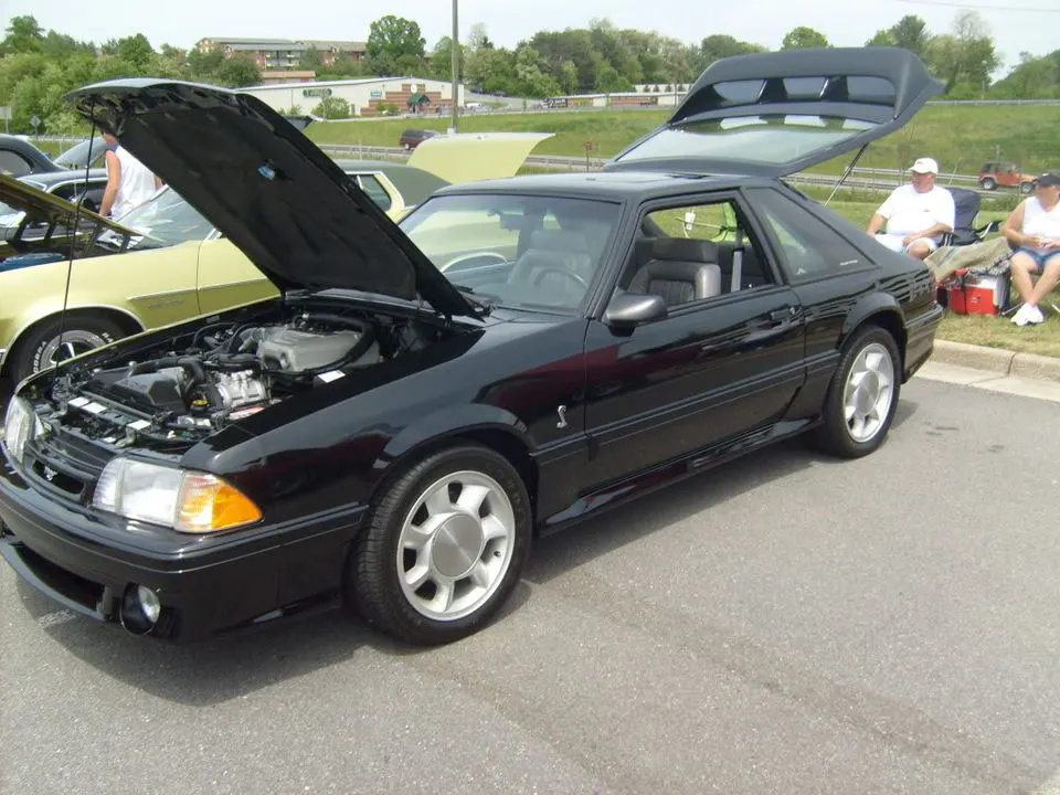mustangshow2010022.webp