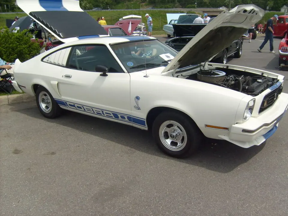mustangshow2010030.webp