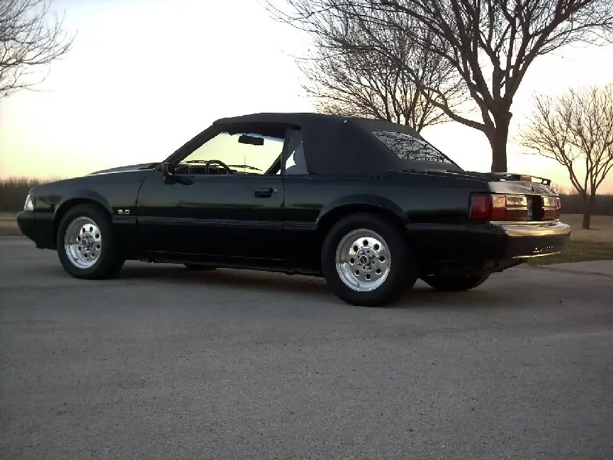 mustangside.webp