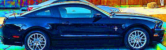 mustangside_edited-2.webp
