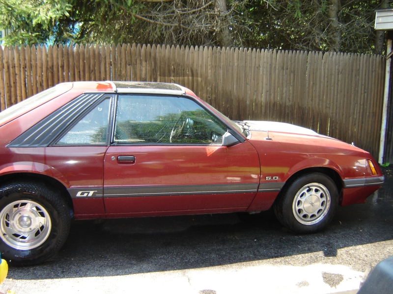 mustangsiders9to.webp