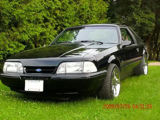mustangsmall1.webp