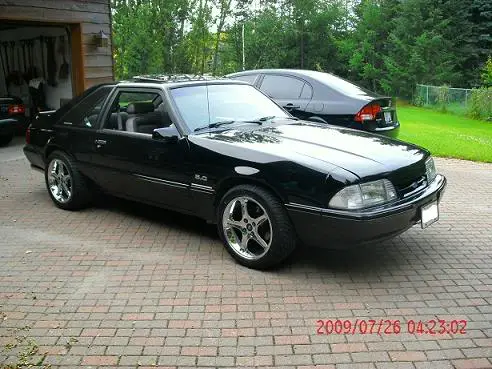 mustangsmall2.webp